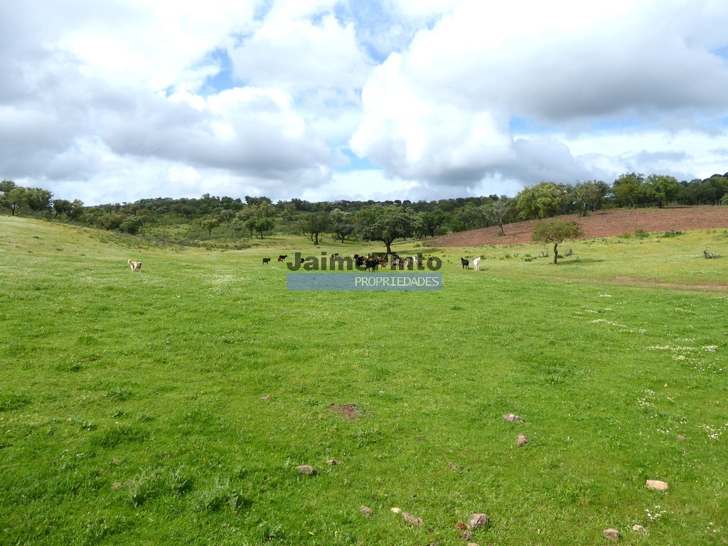 Herdade