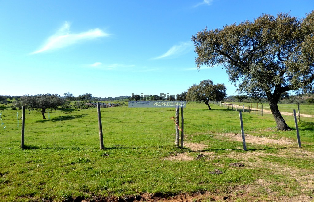 Herdade