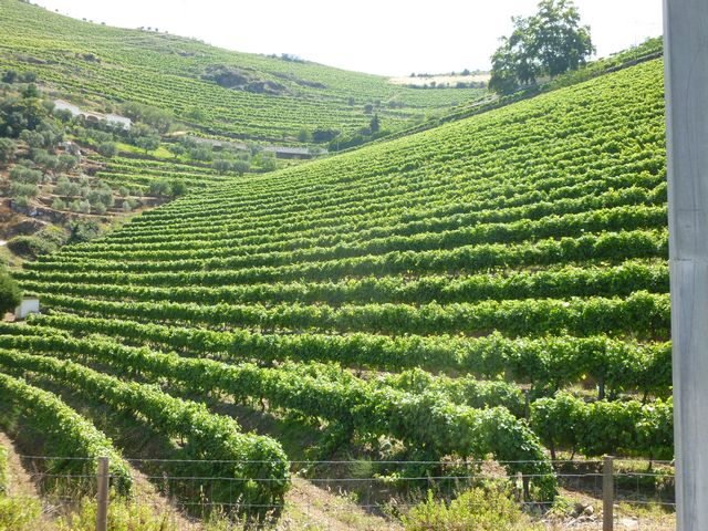 ST - LAMEGO