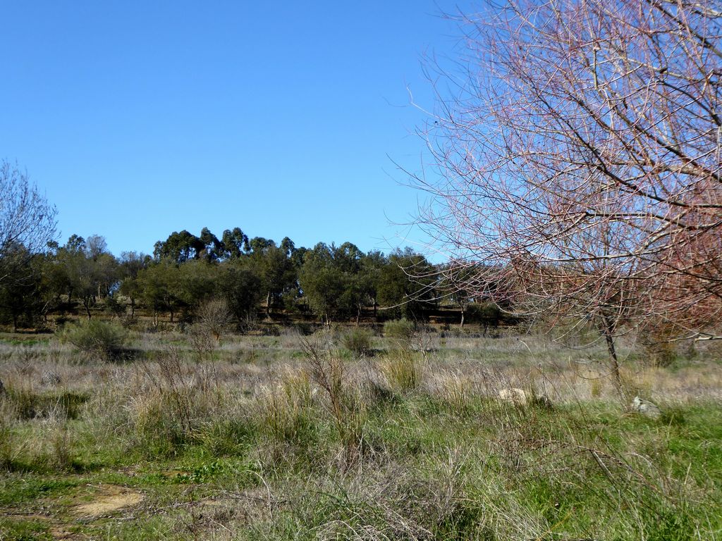 Herdade