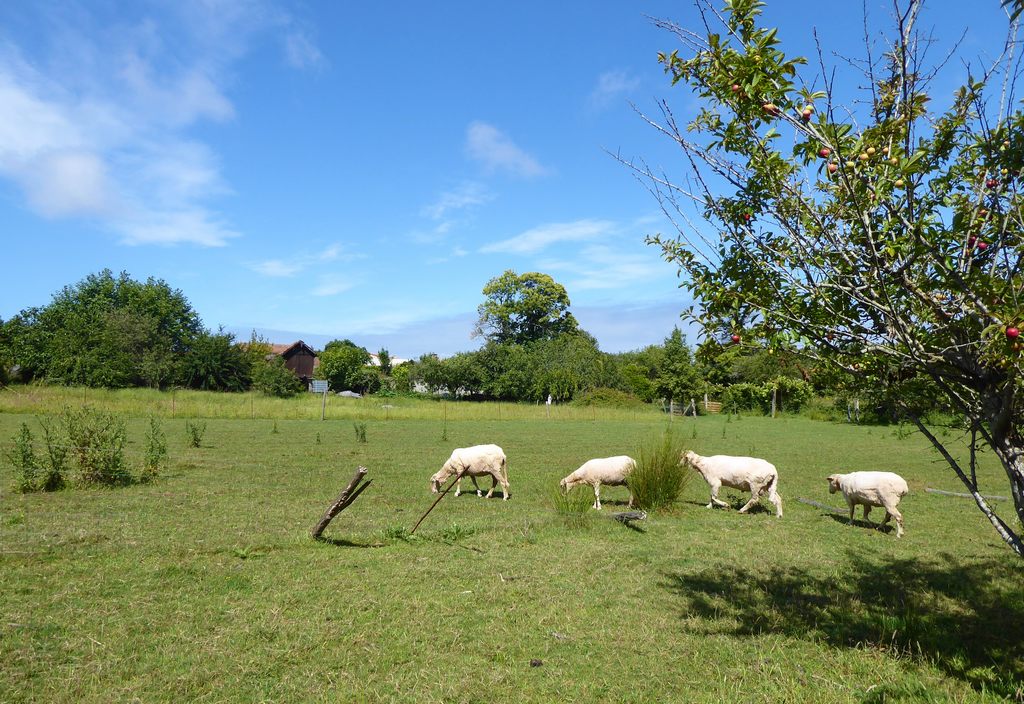 ST - VILA NOVA DE GAIA