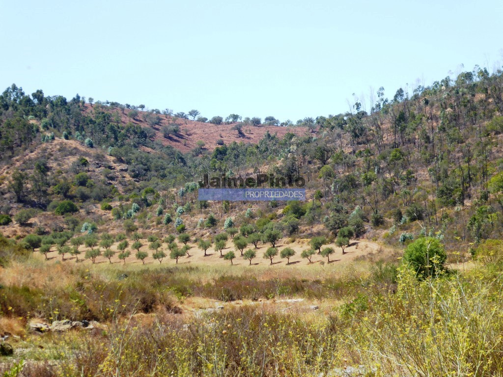 Herdade