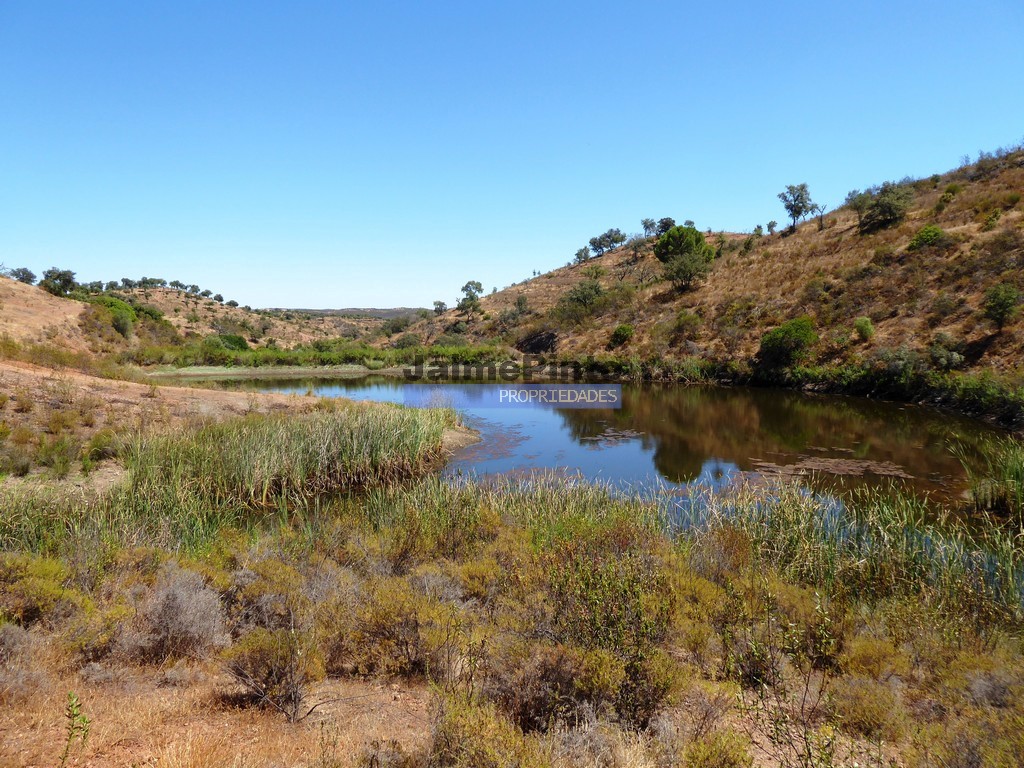 Herdade
