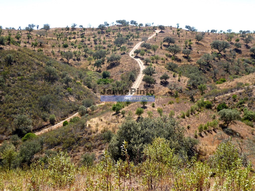 Herdade