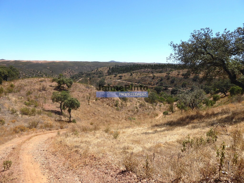 Herdade
