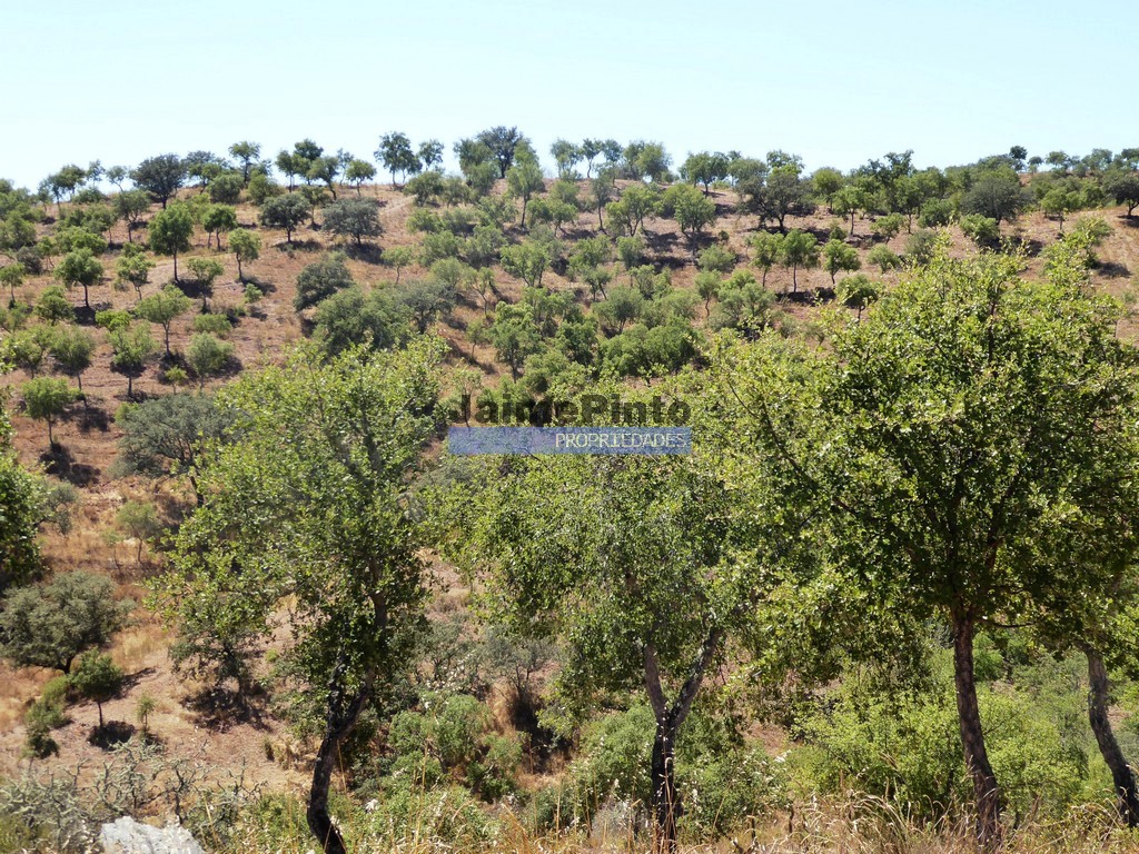 Herdade