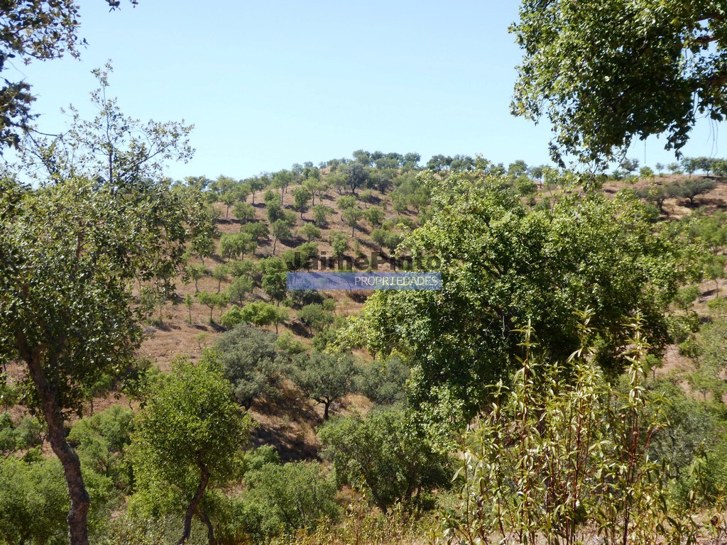 Herdade