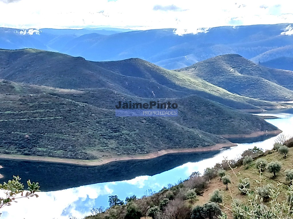 Terreno agricola