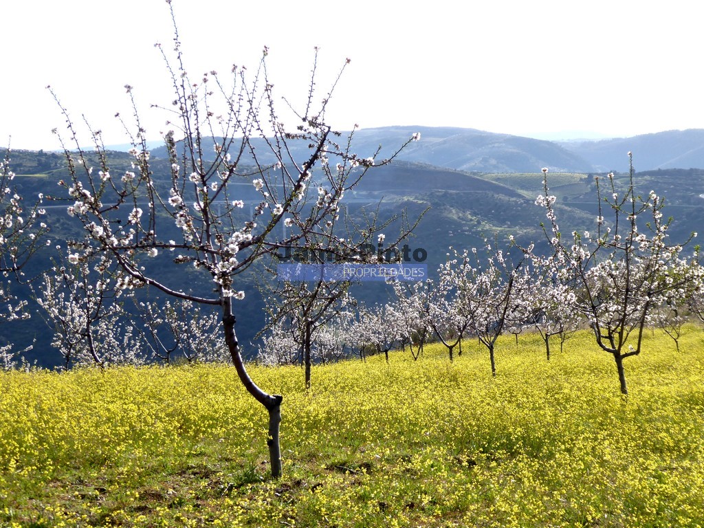 Turismo rural