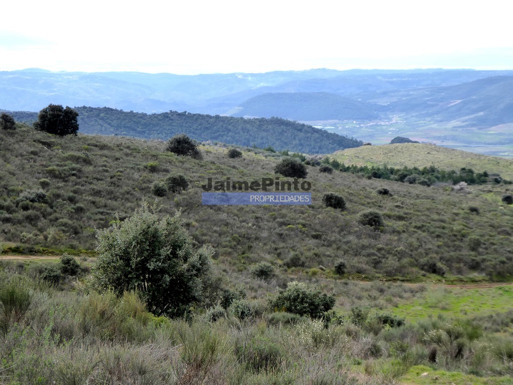 Terreno agricola