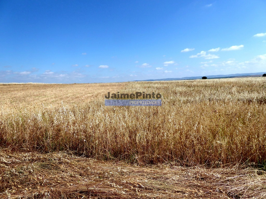 Herdade