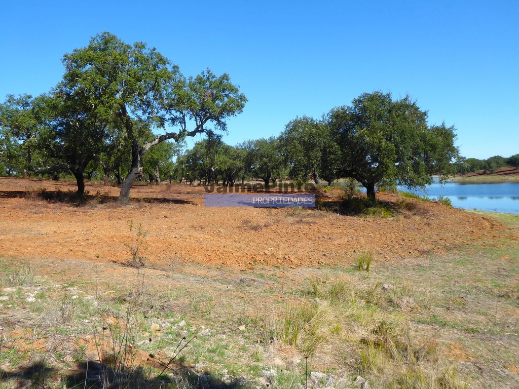 Terreno agricola