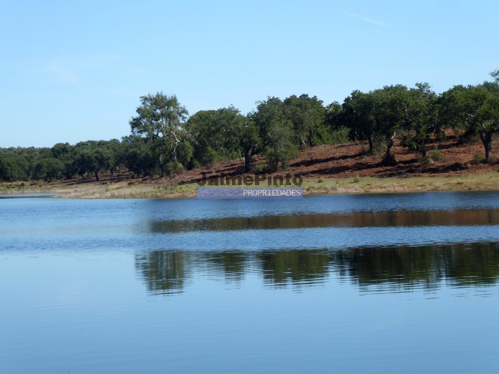 Terreno agricola