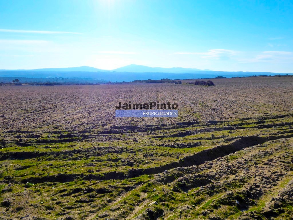 Terreno agricola