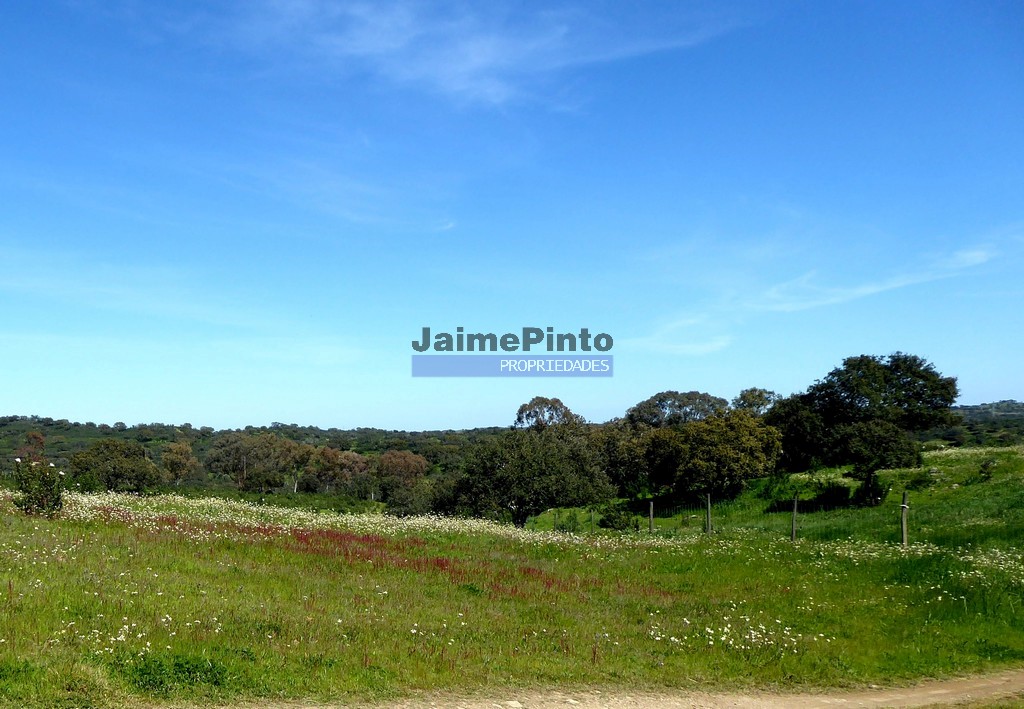 Herdade