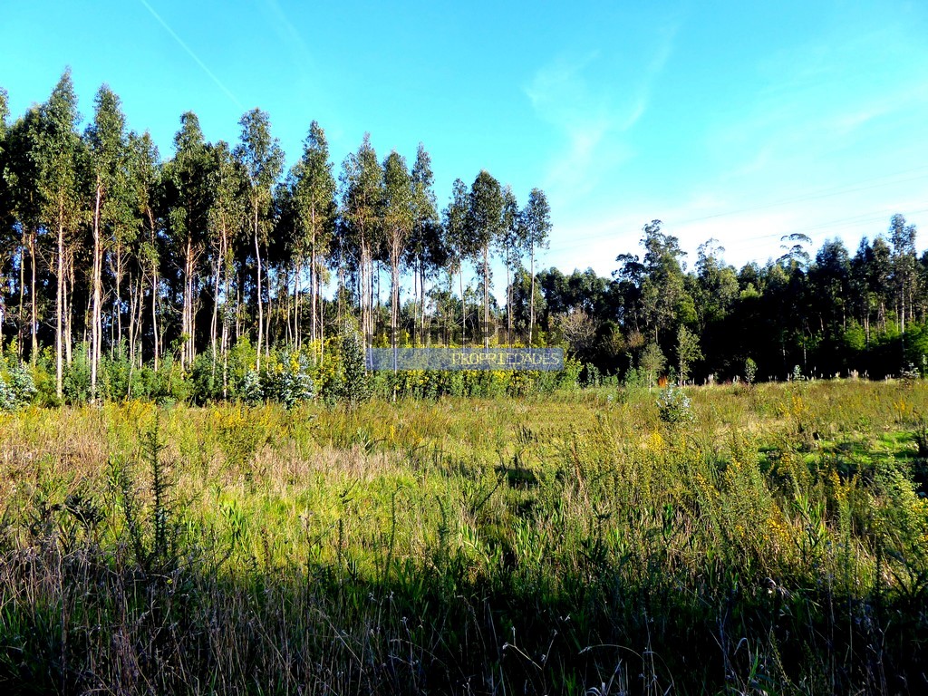 Terreno industrial