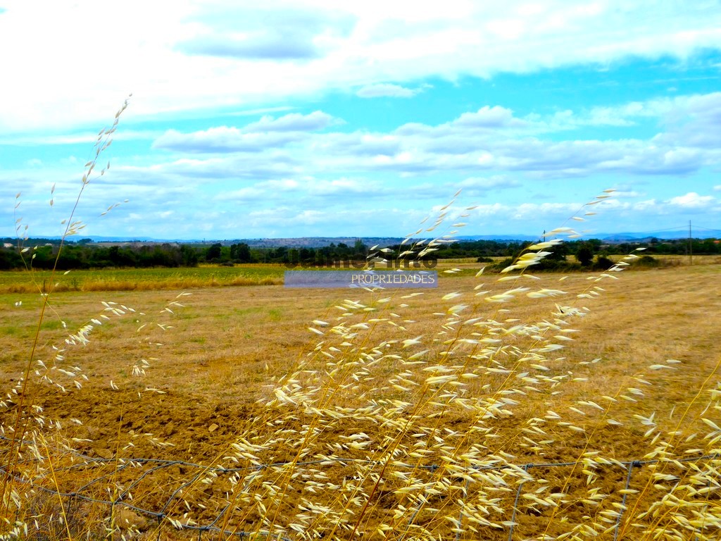 Terreno agricola