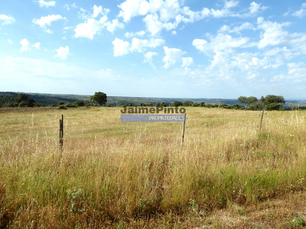 Terreno agricola