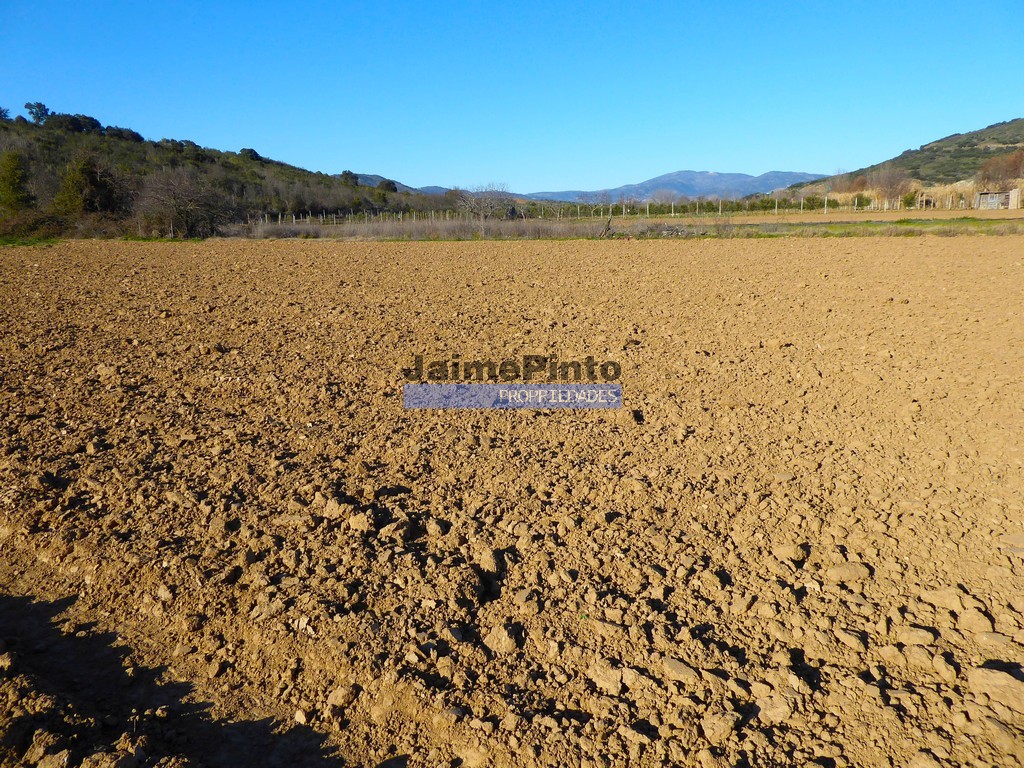 Terreno agricola