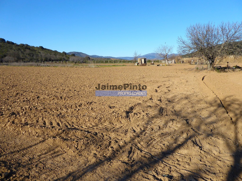 Terreno agricola