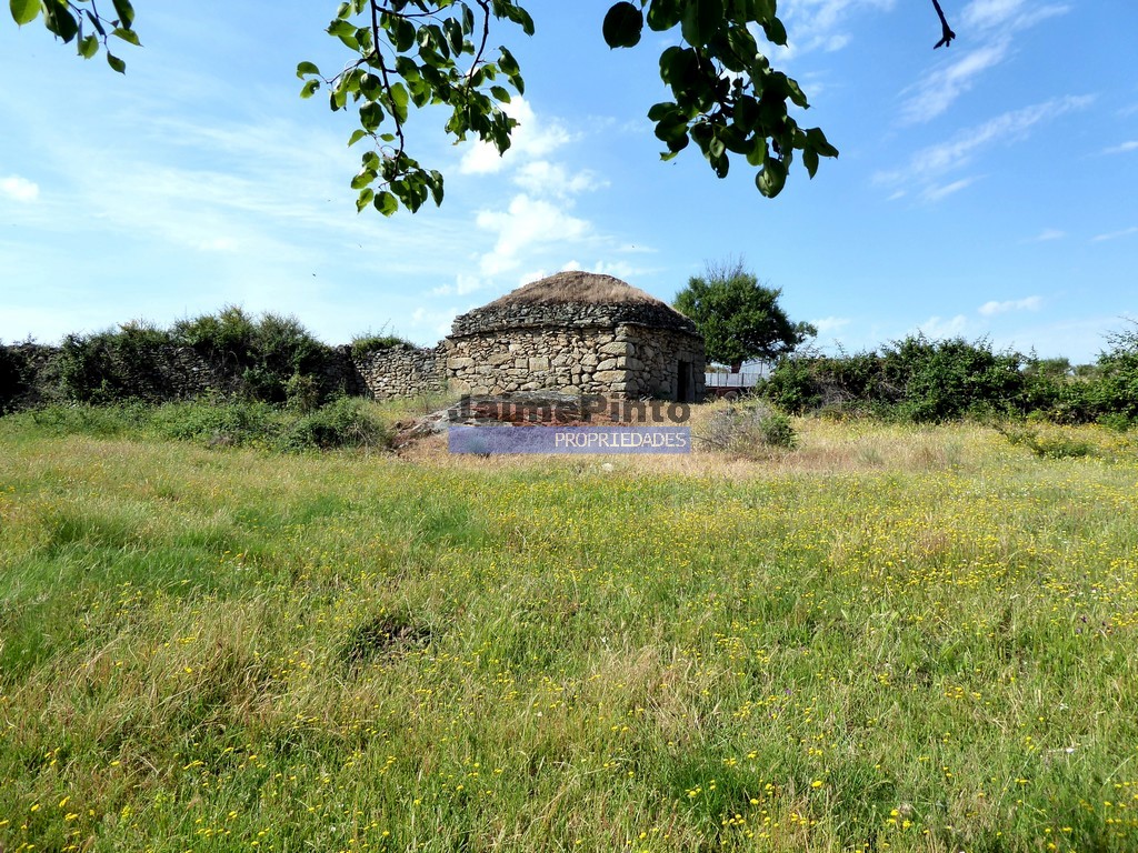 ST - FIGUEIRA DE CASTELO RODRIGO