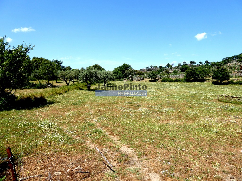 Terreno agricola