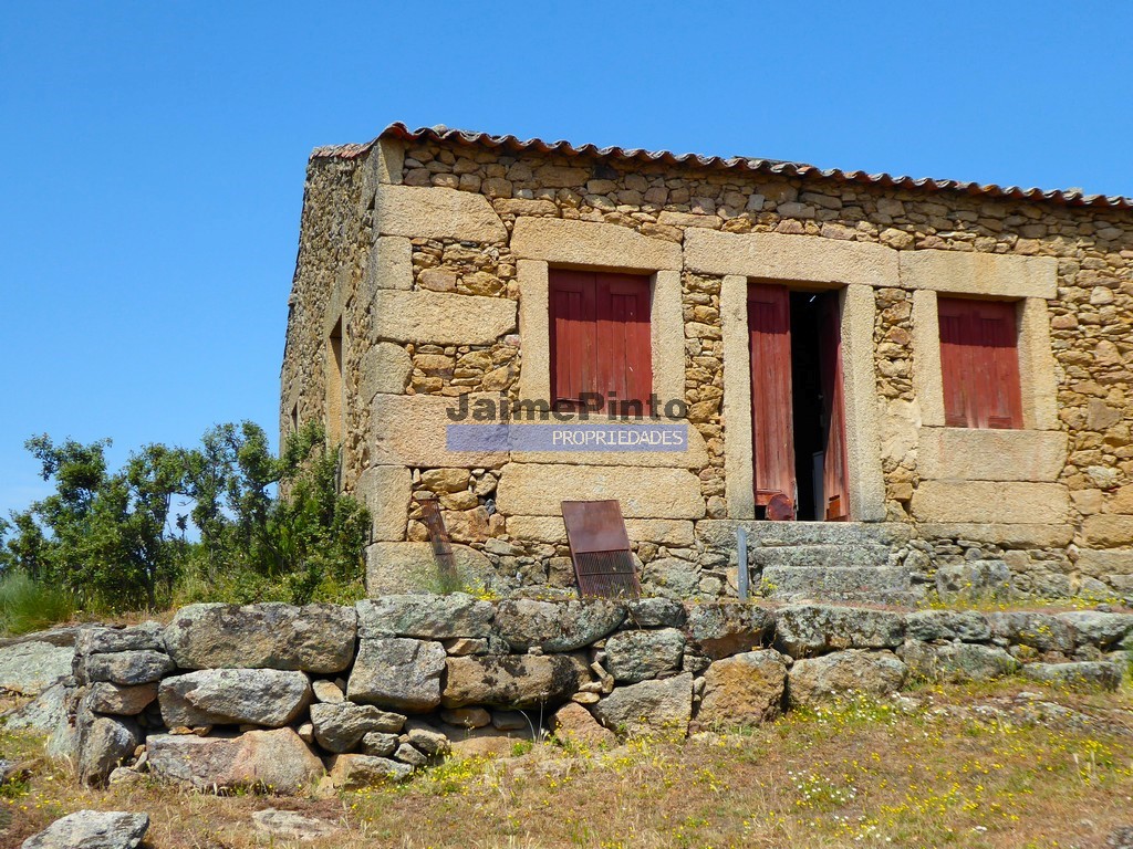 Terreno agricola