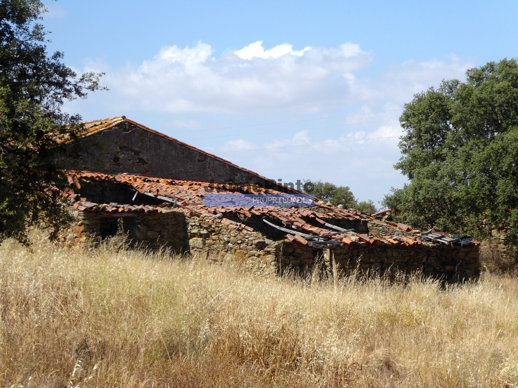 Terreno agricola