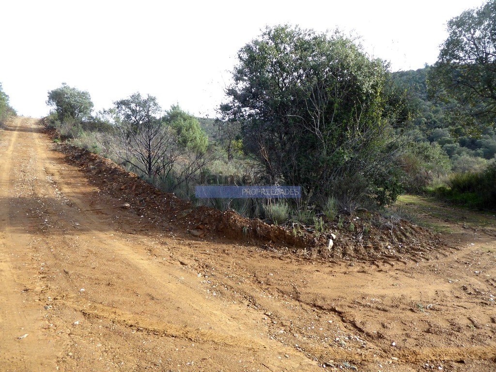 Terreno agricola