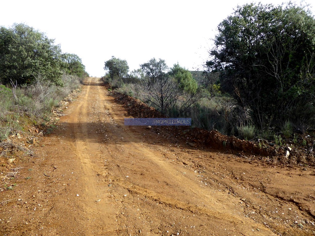 Terreno agricola