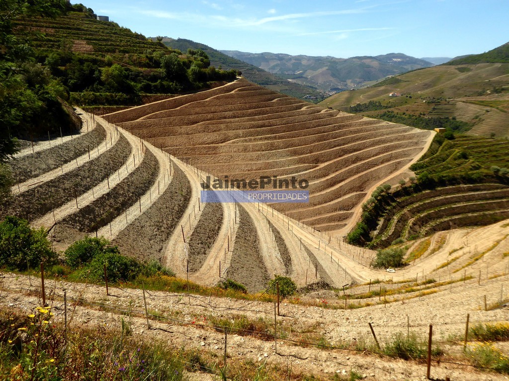 Terreno agricola