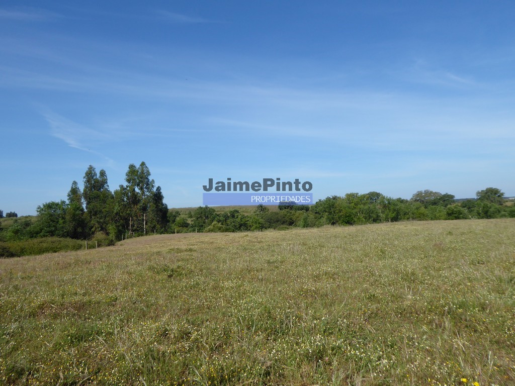 Terreno agricola