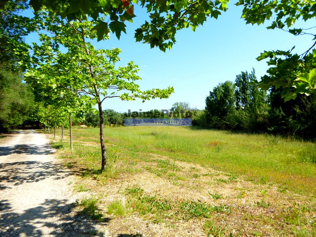 ST - TAVIRA