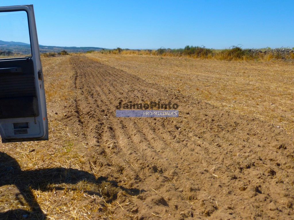 Terreno agricola