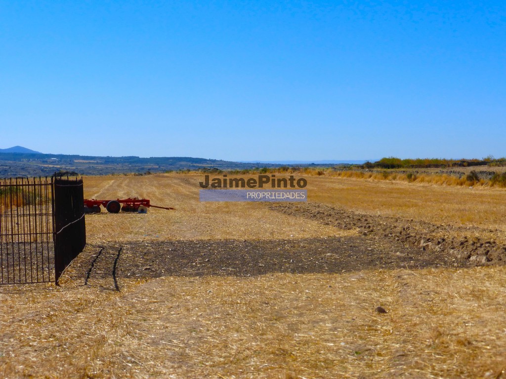 Terreno agricola