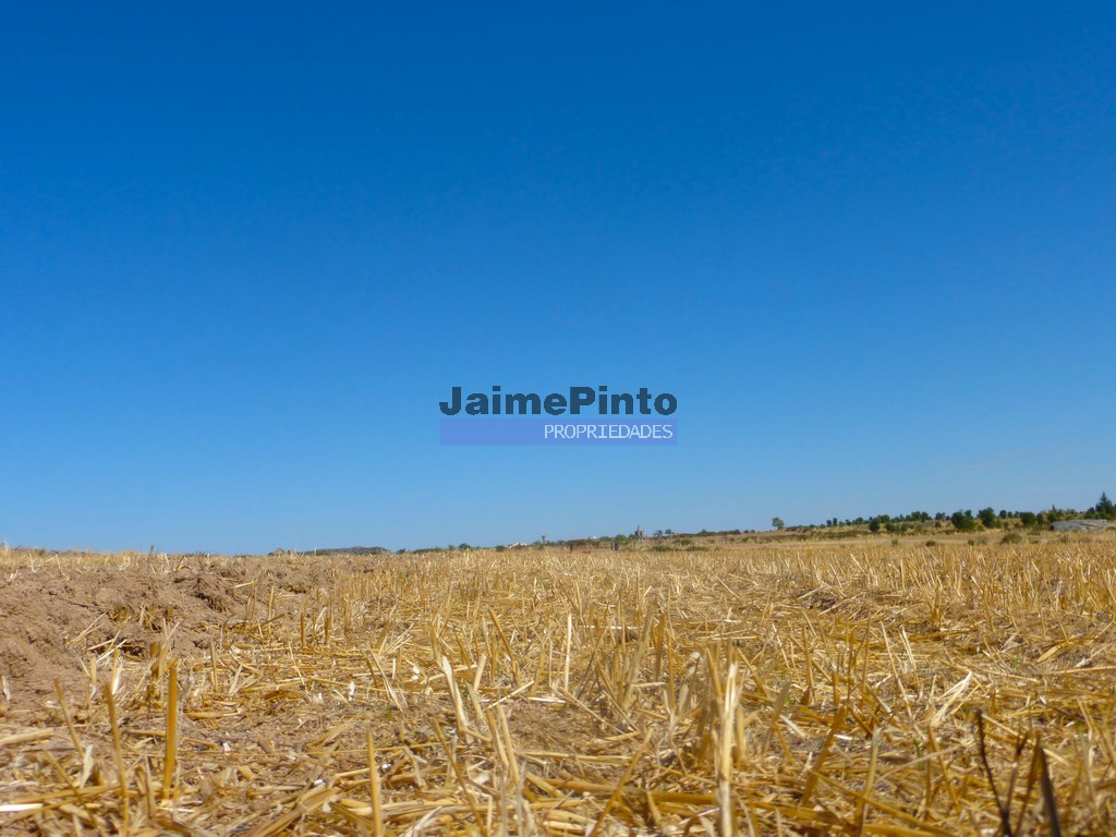 Terreno agricola