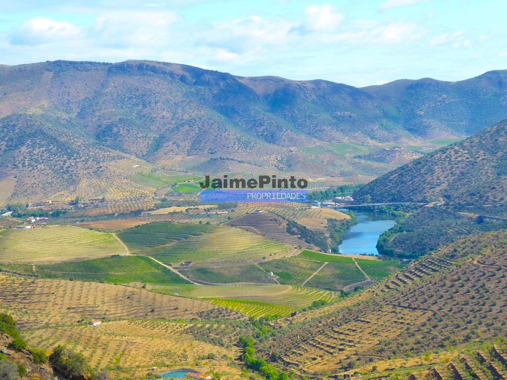 Terreno agricola