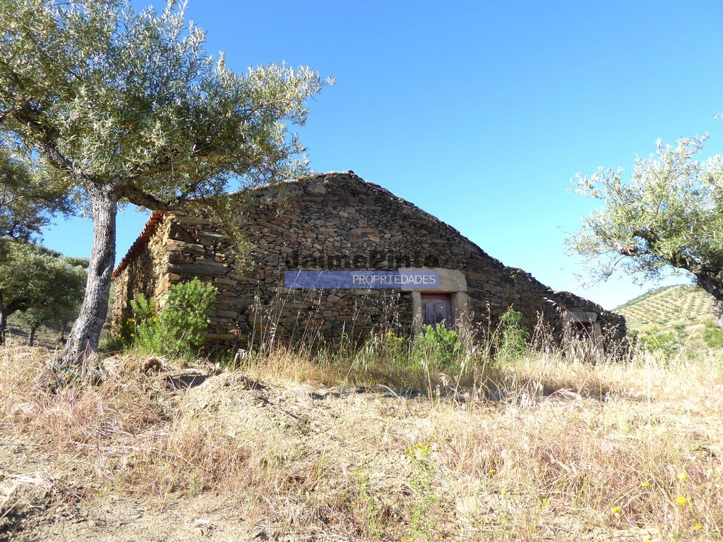 Terreno agricola