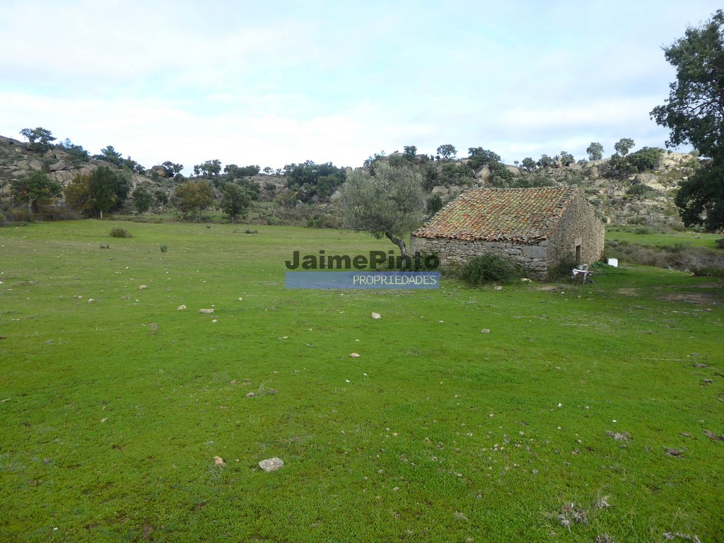 Terreno agricola