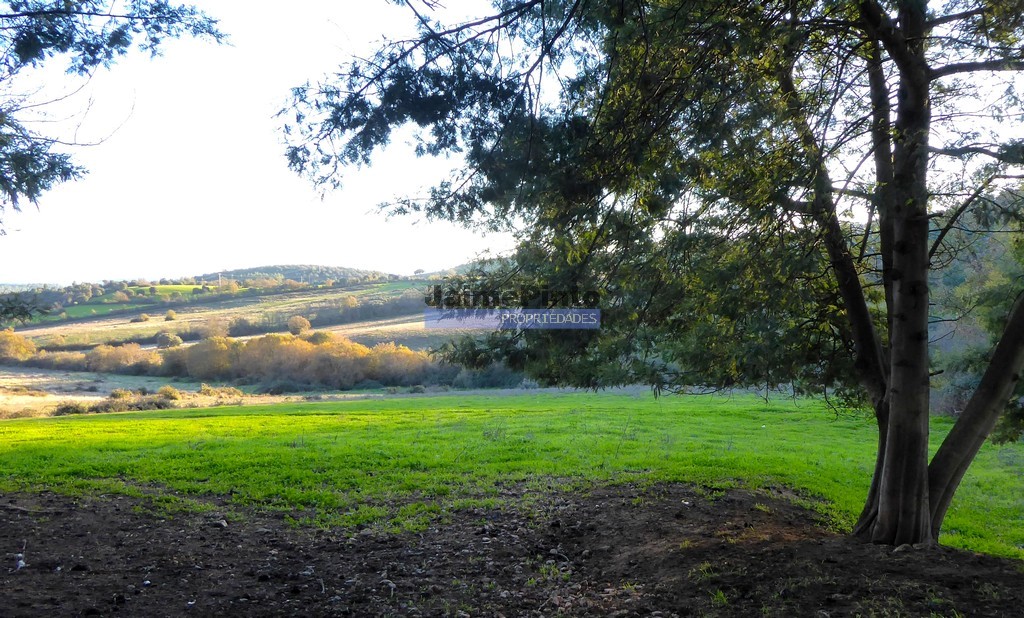 Terreno agricola