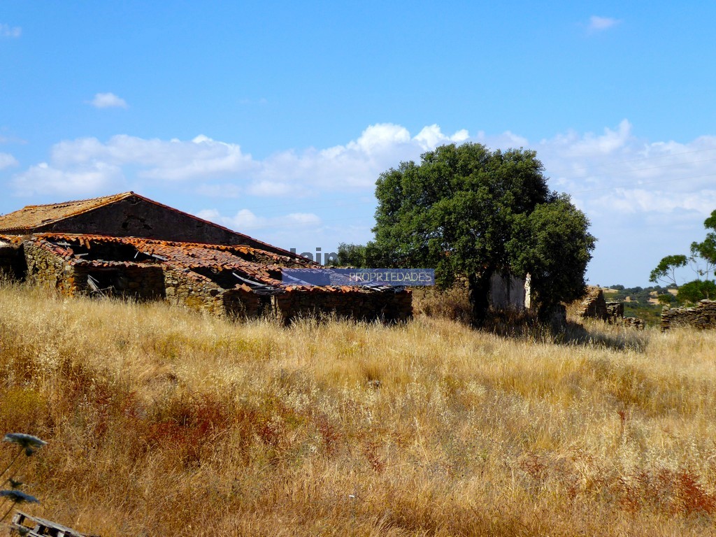 Terreno agricola