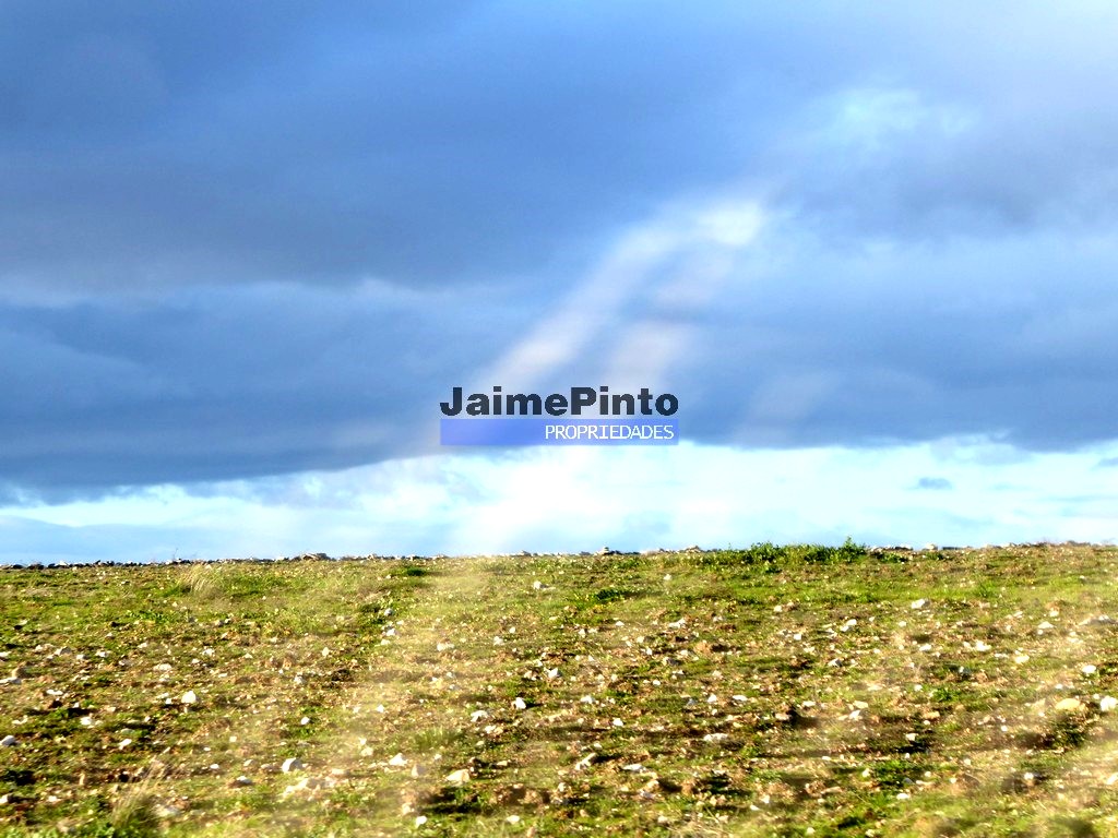 Terreno agricola