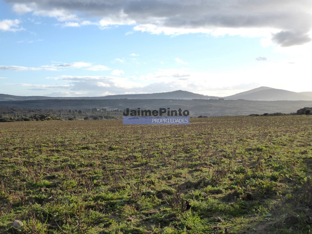 Terreno agricola