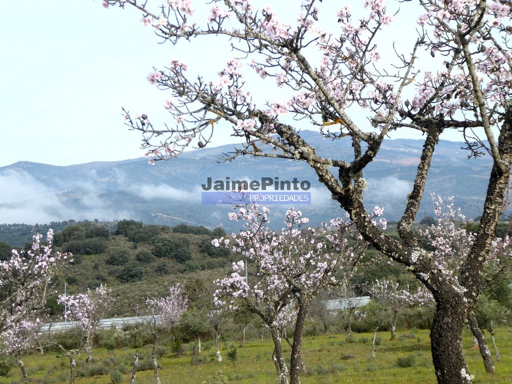 Terreno misto