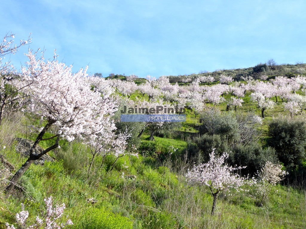 Terreno p/ moradia