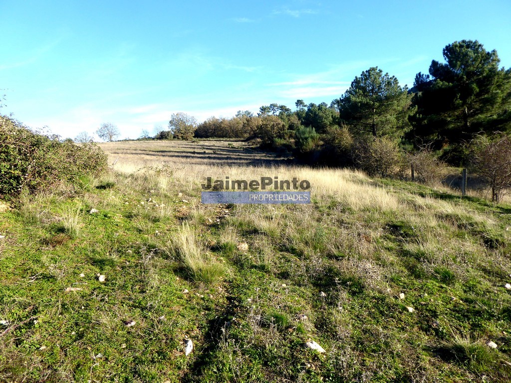 Terreno agricola