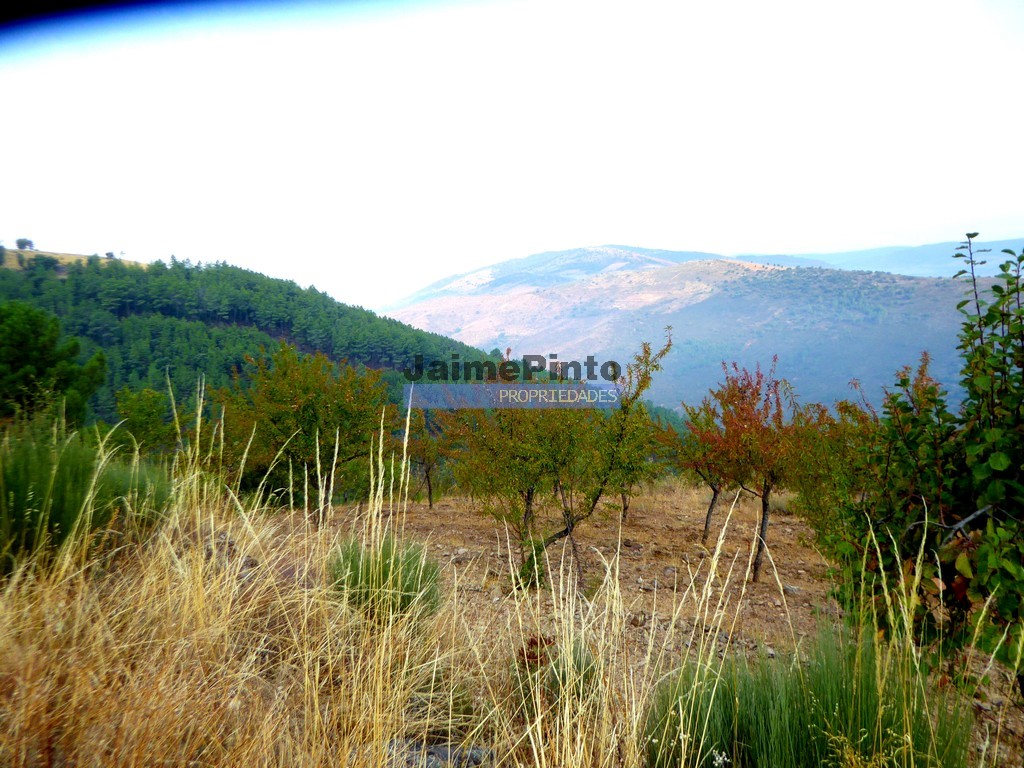 Terreno agricola