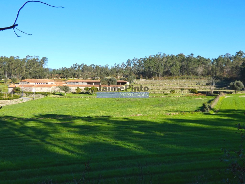 ST - BARCELOS