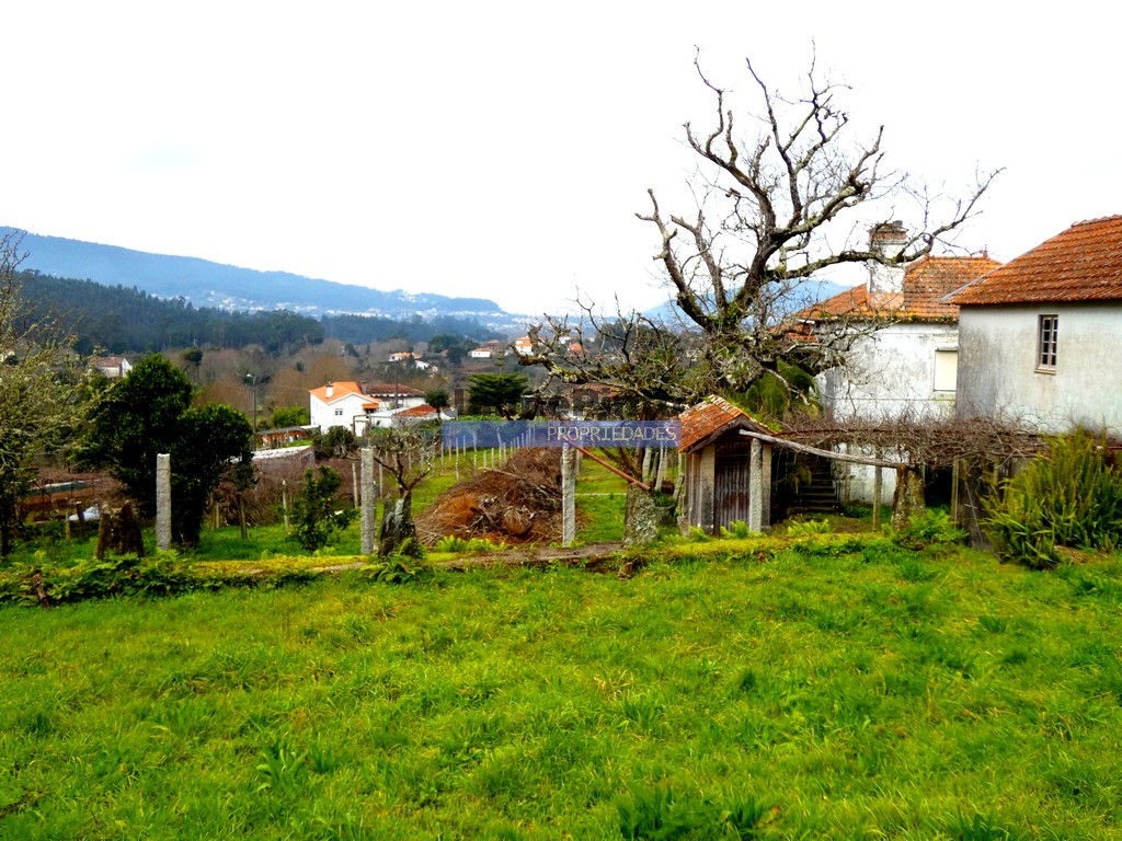 T3 - CAMINHA