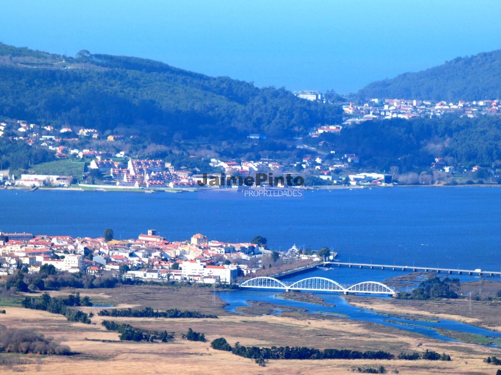 T4 - CAMINHA
